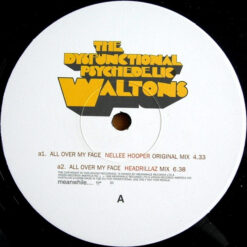The Dysfunctional Psychedelic Waltons - All Over My Face - Image 3