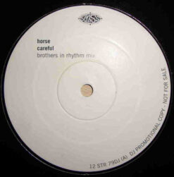 Horse (3) - Careful