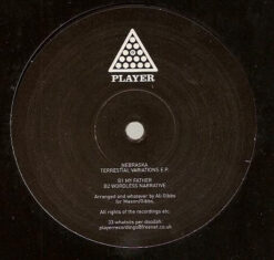 Nebraska - Terrestrial Variations E.P. - Image 2