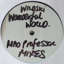 MC Wildski - Wonderful World (The Mad Professor Remix)
