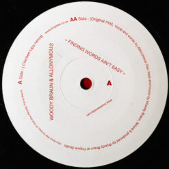 Woody Braun & Allonymous - Finding Words Ain't Easy - Image 3