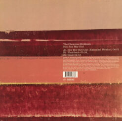 The Chemical Brothers - Hey Boy Hey Girl - Image 2