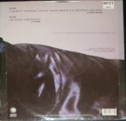 Ray Parker Jr. - I Don't Think That Man Should Sleep Alone - Image 2