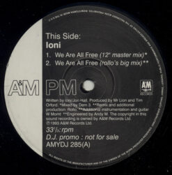 Ioni - We Are All Free (12" Master Mix, Rollo's Remixes) - Image 3