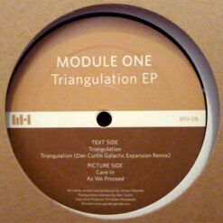 Module One - Triangulation EP - Image 2