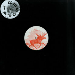 Dsitb - Stolen Song EP - Image 3