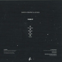 David Gtronic & Iuly.B - Fusion EP - Image 2