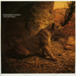 Kosheen - Hide U