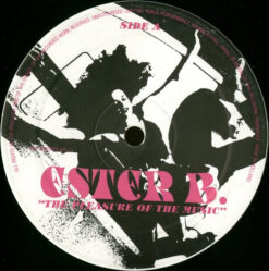 Ester B - The Pleasure Of The Music - Image 2