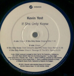 Kevin Yost - If She Only Knew