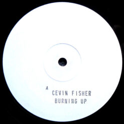 Cevin Fisher - Burning Up