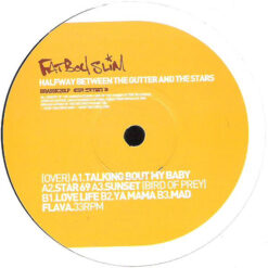 Fatboy Slim - Halfway Between The Gutter And The Stars - Image 3