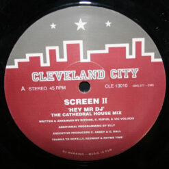 Screen II - Hey Mr DJ
